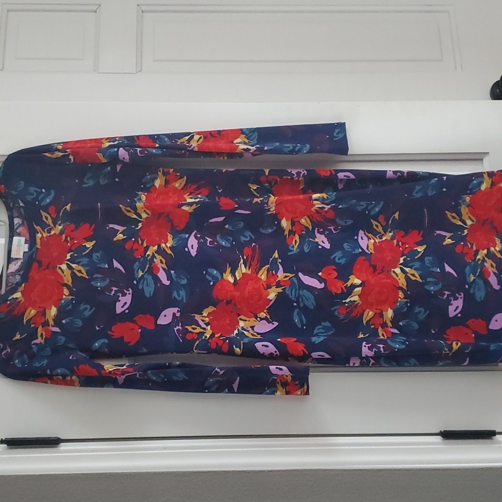 LuLaRoe XS Debbie dress